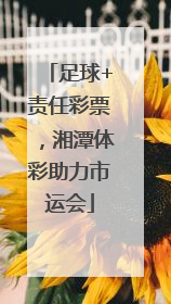 足球+责任彩票，湘潭体彩助力市运会