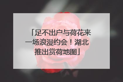足不出户与荷花来一场浪漫约会！湖北推出赏荷地图