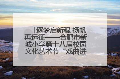 逐梦启新程 扬帆再远征——合肥市新城小学第十八届校园文化艺术节“戏曲进校园专场演出”