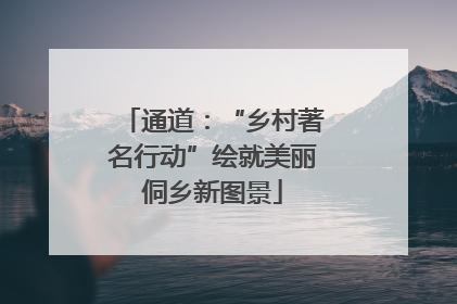 通道：“乡村著名行动”绘就美丽侗乡新图景