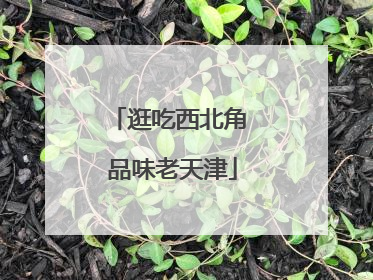 逛吃西北角 品味老天津