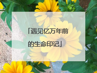遇见亿万年前的生命印记