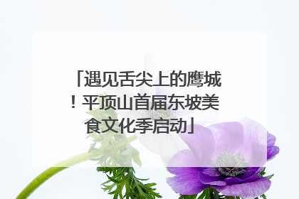 遇见舌尖上的鹰城！平顶山首届东坡美食文化季启动