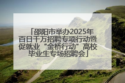 邵阳市举办2025年百日千万招聘专项行动暨促就业“金桥行动”高校毕业生专场招聘会