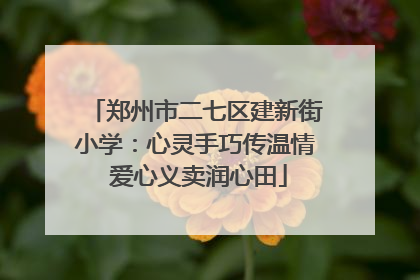 郑州市二七区建新街小学：心灵手巧传温情 爱心义卖润心田
