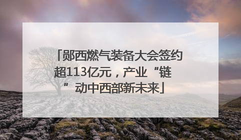 郧西燃气装备大会签约超113亿元，产业“链”动中西部新未来