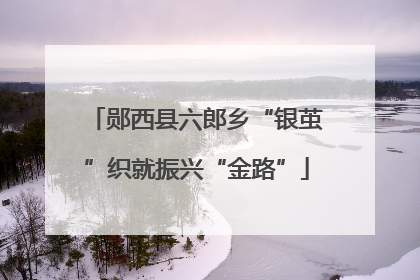郧西县六郎乡“银茧”织就振兴“金路”