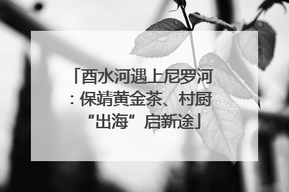 酉水河遇上尼罗河：保靖黄金茶、村厨“出海”启新途