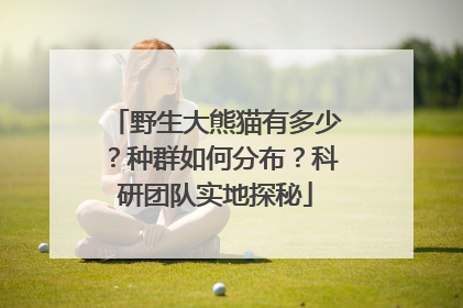野生大熊猫有多少？种群如何分布？科研团队实地探秘