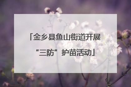 金乡县鱼山街道开展“三防”护苗活动