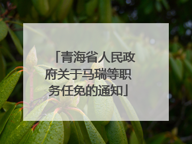 青海省人民政府关于马瑞等职务任免的通知