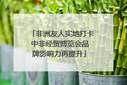非洲友人实地打卡 中非经贸博览会品牌影响力再提升