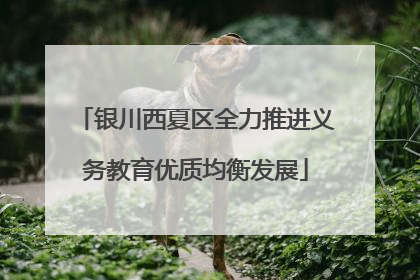 银川西夏区全力推进义务教育优质均衡发展