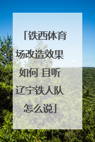 铁西体育场改造效果如何 且听辽宁铁人队怎么说