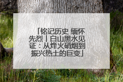 铭记历史 缅怀先烈丨白山黑水见证：从烽火硝烟到振兴热土的巨变