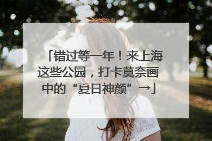 错过等一年！来上海这些公园，打卡莫奈画中的“夏日神颜”→