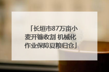 长垣市87万亩小麦开镰收割 机械化作业保障夏粮归仓