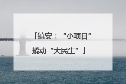 镇安：“小项目”撬动“大民生”