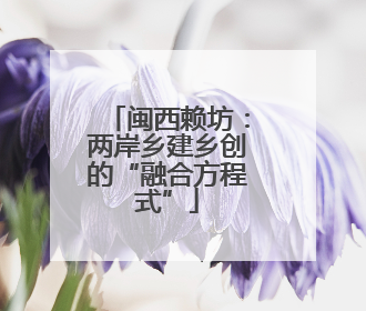 闽西赖坊：两岸乡建乡创的“融合方程式”