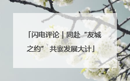 闪电评论｜同赴“友城之约” 共襄发展大计