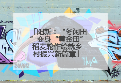 阳新：“冬闲田”变身“黄金田” 稻麦轮作绘就乡村振兴新篇章
