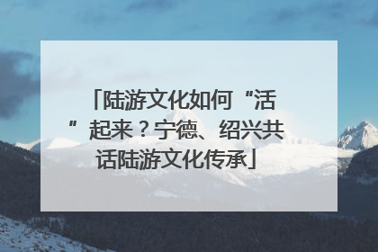 陆游文化如何“活 ”起来？宁德、绍兴共话陆游文化传承