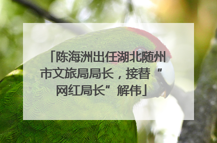 陈海洲出任湖北随州市文旅局局长，接替“网红局长”解伟