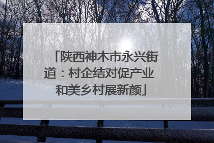 陕西神木市永兴街道：村企结对促产业 和美乡村展新颜
