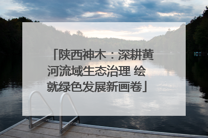 陕西神木：深耕黄河流域生态治理 绘就绿色发展新画卷