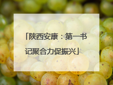 陕西安康：第一书记聚合力促振兴