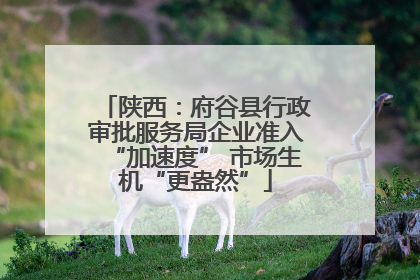 陕西：府谷县行政审批服务局企业准入“加速度” 市场生机“更盎然”