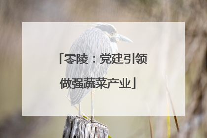 零陵：党建引领 做强蔬菜产业
