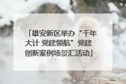 雄安新区举办“千年大计 党建领航”党建创新案例场景汇活动