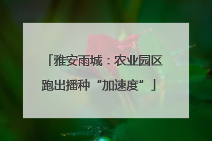雅安雨城：农业园区跑出播种“加速度”