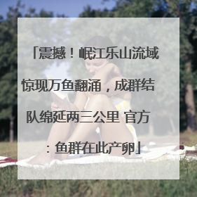 震撼！岷江乐山流域惊现万鱼翻涌，成群结队绵延两三公里 官方：鱼群在此产卵