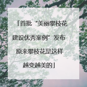 首批“美丽攀枝花建设优秀案例”发布 原来攀枝花是这样越变越美的