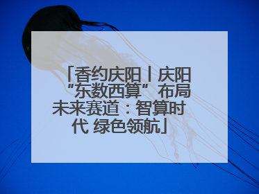 香约庆阳丨庆阳“东数西算”布局未来赛道：智算时代 绿色领航