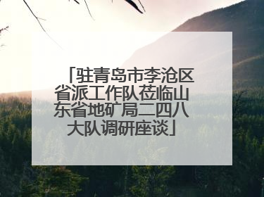 驻青岛市李沧区省派工作队莅临山东省地矿局二四八大队调研座谈