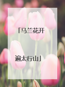 马兰花开遍太行山