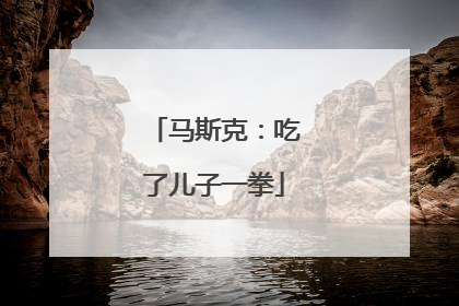 马斯克：吃了儿子一拳