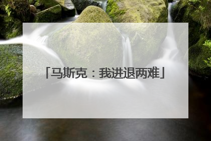 马斯克：我进退两难