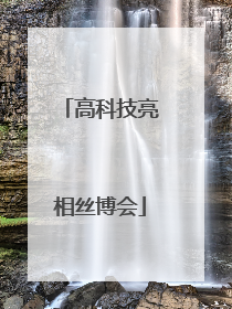 高科技亮相丝博会