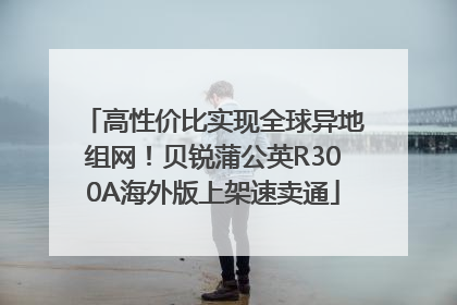 高性价比实现全球异地组网！贝锐蒲公英R300A海外版上架速卖通