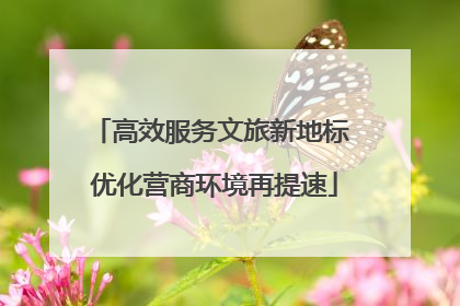 高效服务文旅新地标 优化营商环境再提速