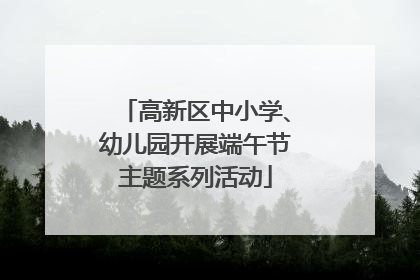 高新区中小学、幼儿园开展端午节主题系列活动