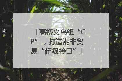 高桥义乌组“CP”，打造湘非贸易“超级接口”