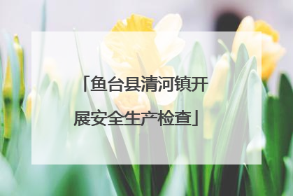 鱼台县清河镇开展安全生产检查