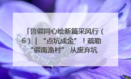鲁疆同心绘新篇采风行（6）｜“点坑成金”！疏勒 “疆南渔村” 从废弃坑塘变身全国垂钓胜地