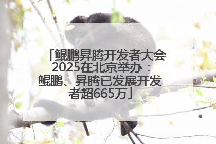 鲲鹏昇腾开发者大会2025在北京举办：鲲鹏、昇腾已发展开发者超665万