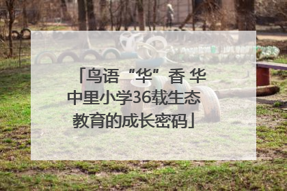 鸟语“华”香 华中里小学36载生态教育的成长密码